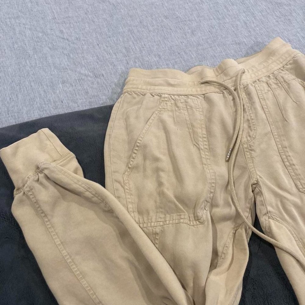 Beige Joggers by Quince